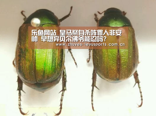 乐鱼网站_皇马祭自杀阵罪人非安帅 早想弃贝尔佛爷能忍吗?(图2) 乐鱼网站