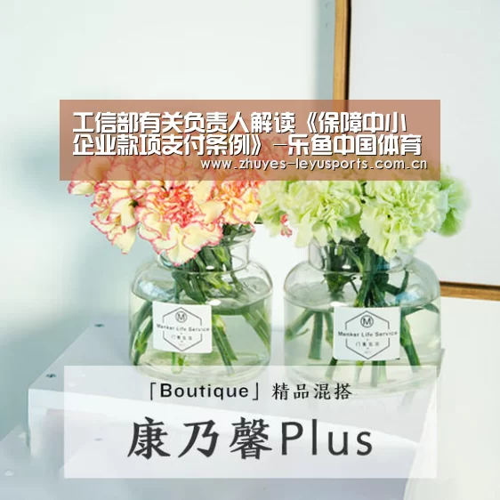 工信部有关负责人解读《保障中小企业款项支付条例》-乐鱼中国体育(图1) 乐鱼LEYU